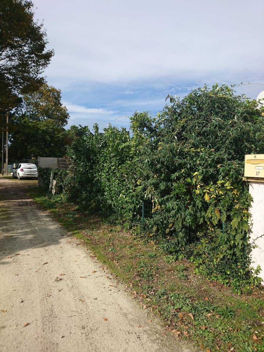 Avant création d'une clôture plaque béton 