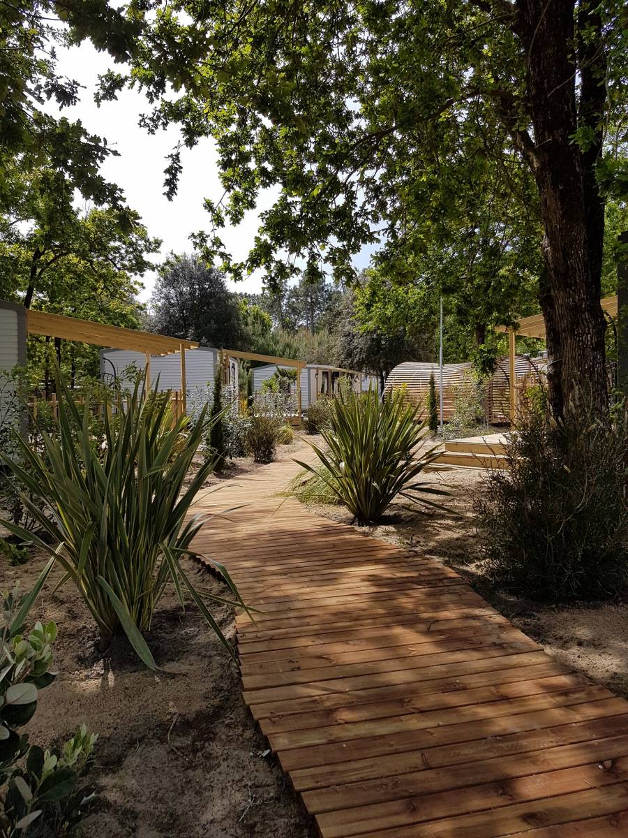 Aménagement paysager dans un camping