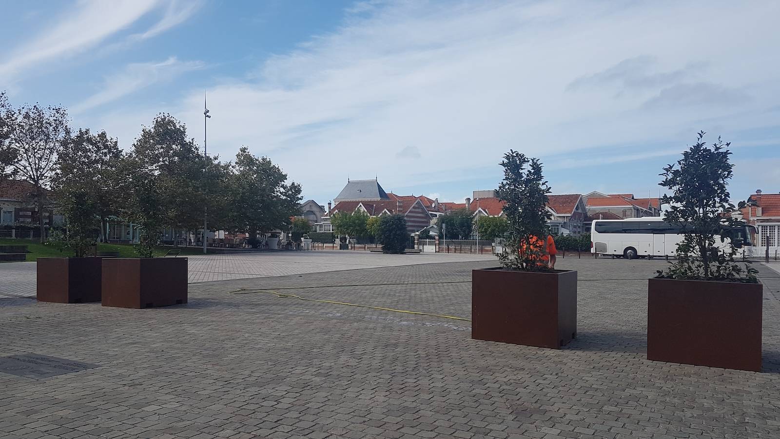 Plantation d'Osmanthes à Soulac !