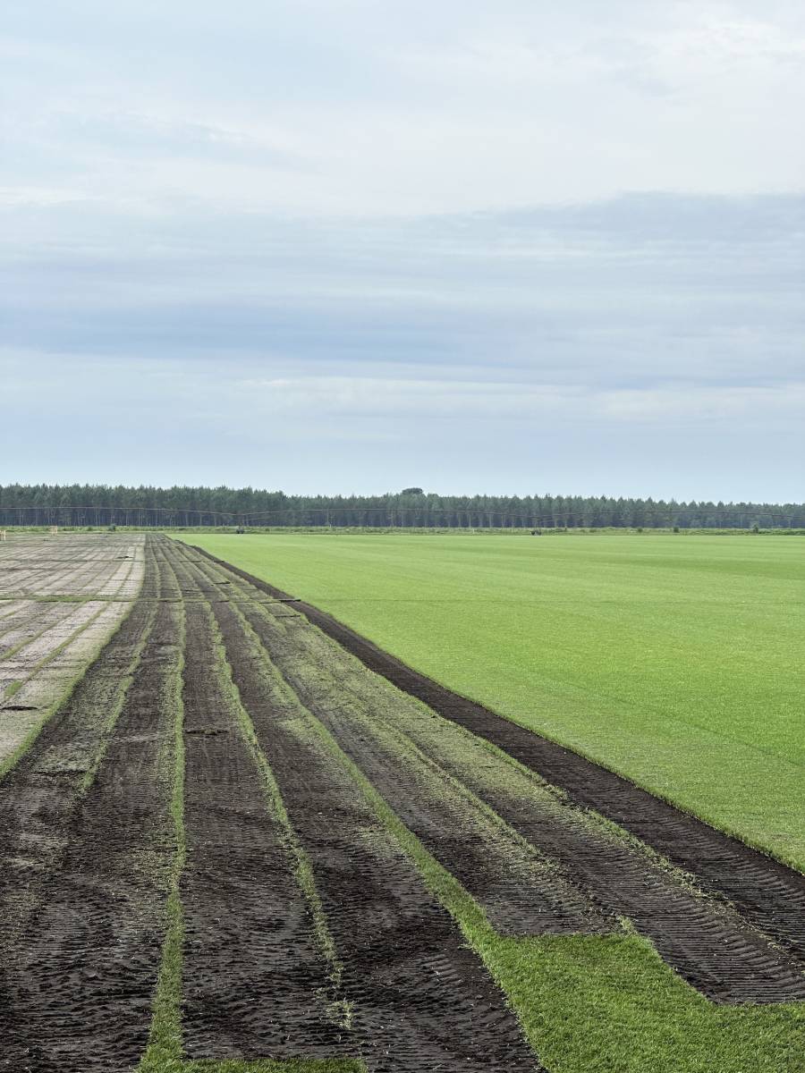 Production de gazon naturel à Cestas