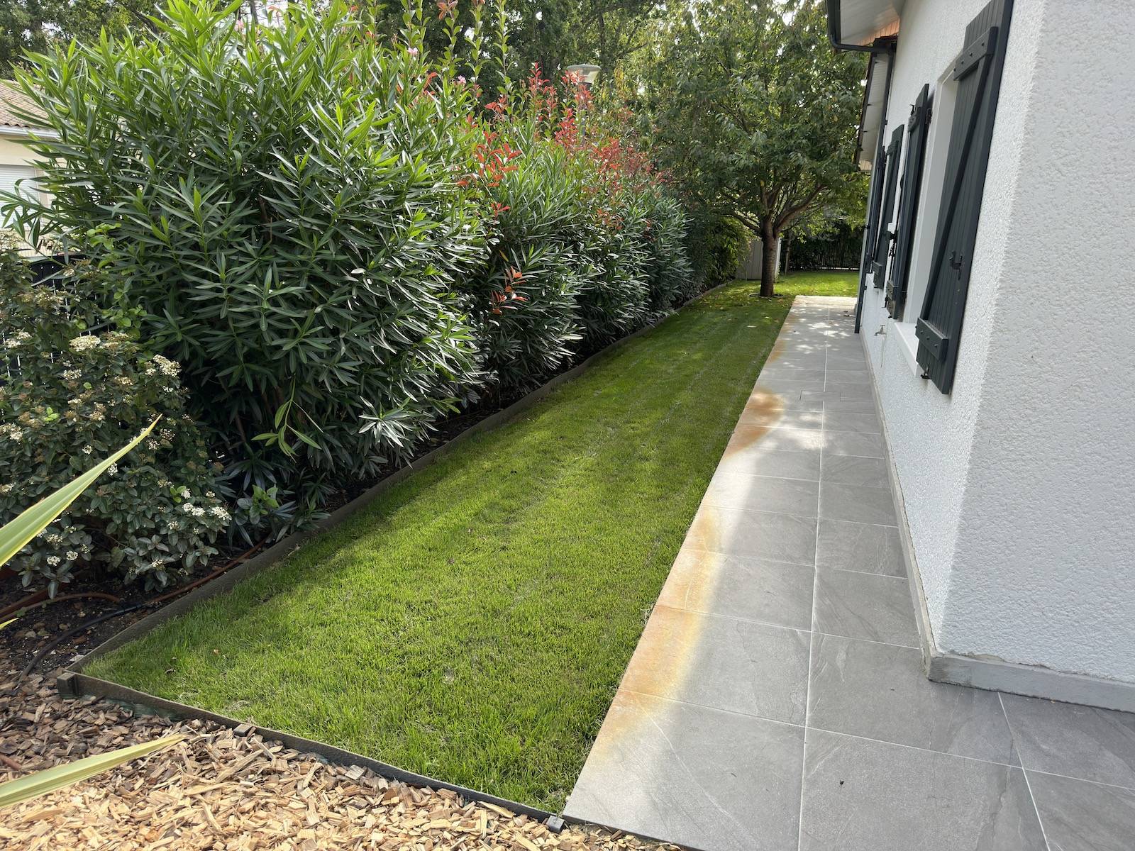 Engazonnement, Création de Boulodrome, Système d'Arrosage et Plantations : Transformation d'un Jardin Particulier à Hourtin