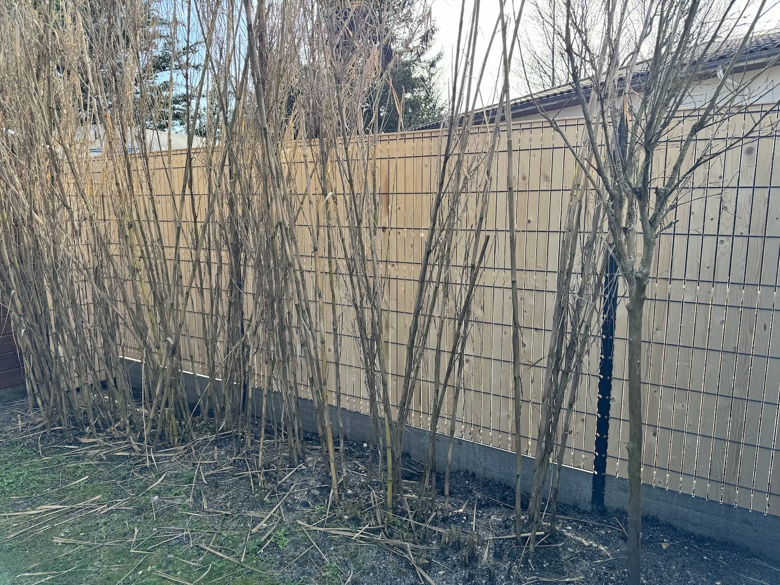 Cloture rigide avec occultation bois à Hourtin !