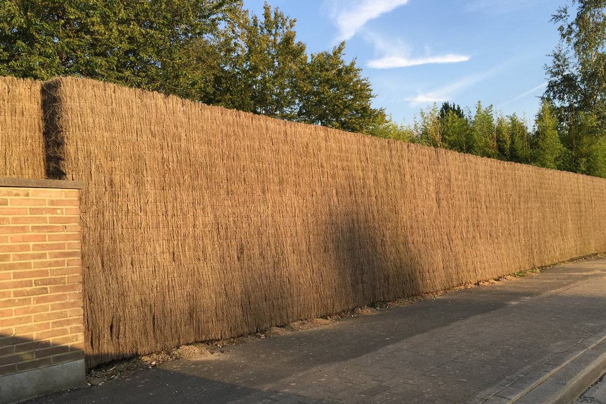 Brande de bruyère une clôture naturelle dans le médoc 