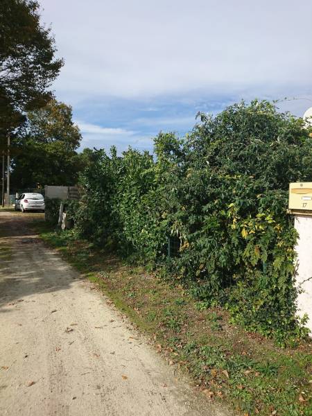 Avant création d'une clôture plaque béton 