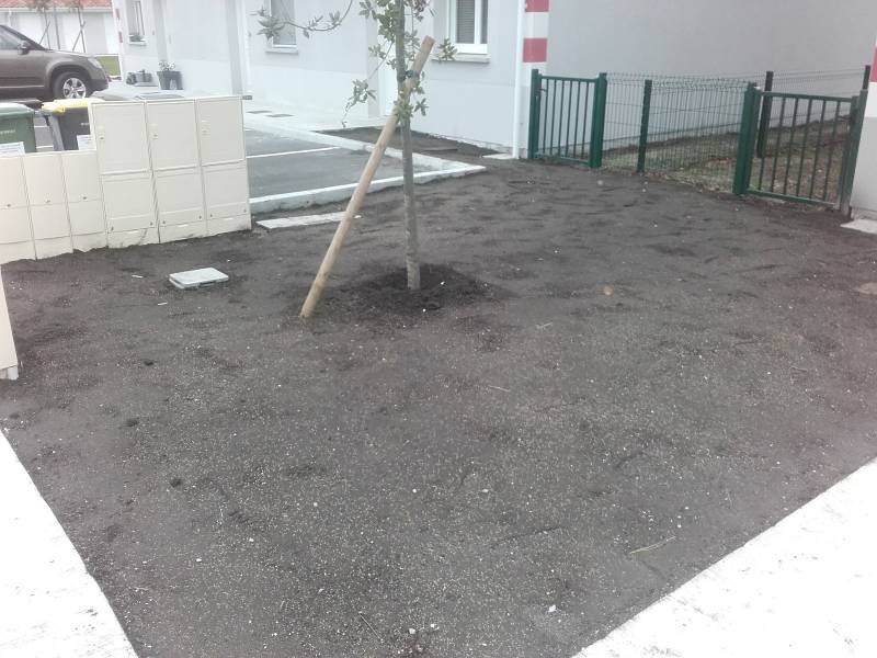 Engazonnement des parties communes d'un lotissement à Lacanau ville (33)