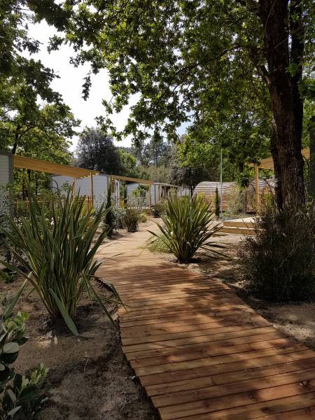 Aménagement paysager dans un camping