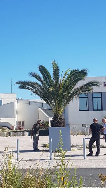Phoenix à Soulac 