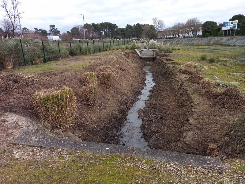 Travaux de débroussaillage et entretien des berges d’un cours d’eau sur 230 m à Mérignac (33) 