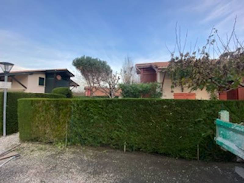 Entretien Paysager et Taille de Haies et Arbres à Hourtin !