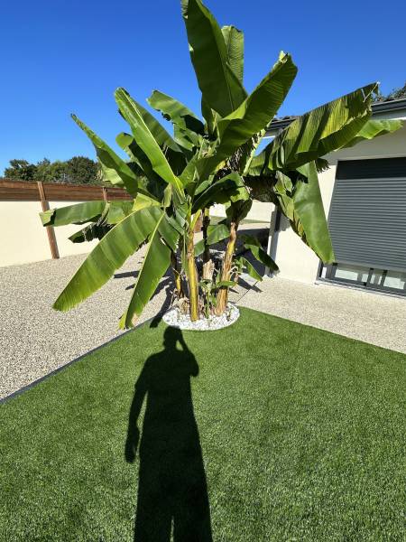 Création d'un Jardin en gazon synthétique à Lesparre chez un particulier à Lesparre !