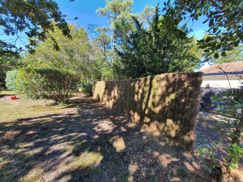 Brande de bruyère une clôture naturelle dans le médoc 