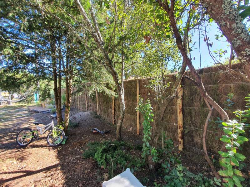 Brande de bruyère une clôture naturelle dans le médoc 