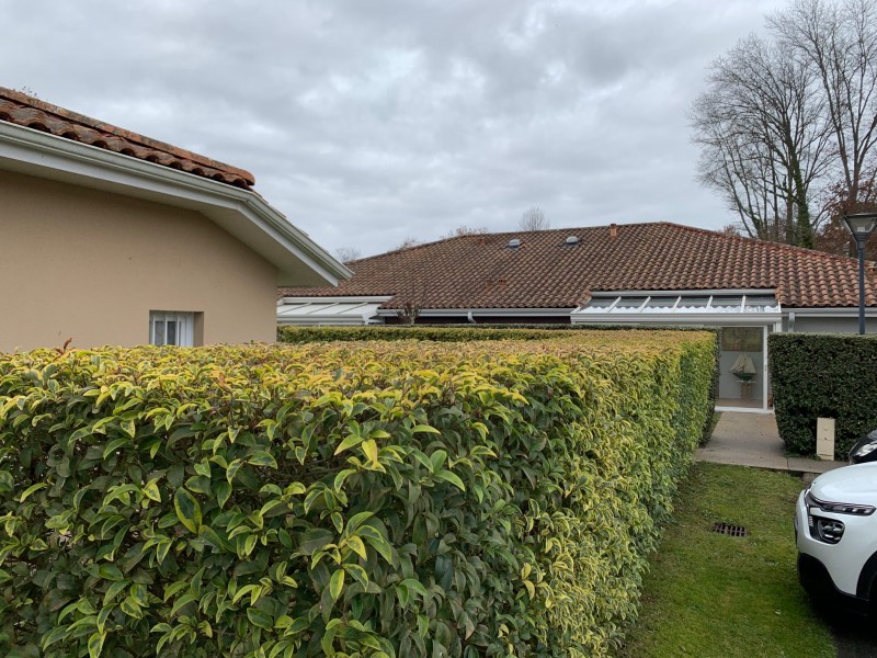 Taille de haie au séniorales lacanau 33