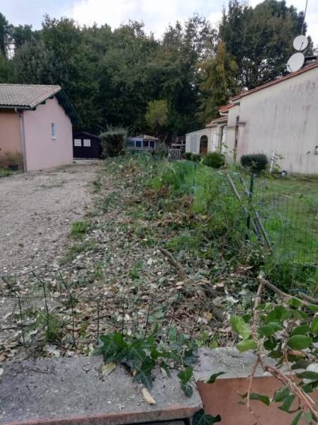 Arrachage d'une haie existante à hourtin